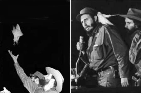 LA VERÍDICA HISTORIA DE LA PALOMA DE FIDEL